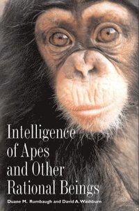 bokomslag Intelligence of Apes and Other Rational Beings