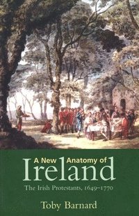 bokomslag A New Anatomy of Ireland