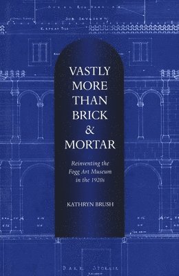 bokomslag Vastly More Than Brick & Mortar