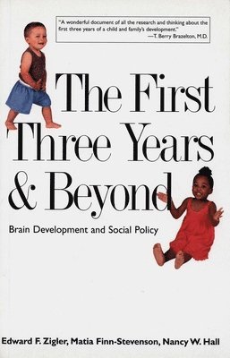 Edward F. Zigler, Matia Finn-Stevenson, Nancy W. Hall - First Three Years and Beyond, Häftad