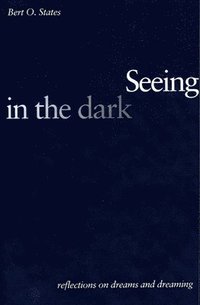 bokomslag Seeing in the Dark