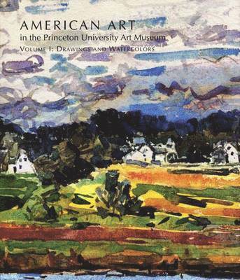 bokomslag American Art in the Princeton University Art Museum: v. 1 Drawings and Watercolours