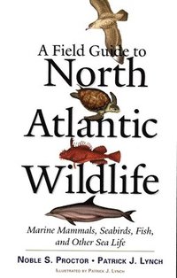 bokomslag A Field Guide to North Atlantic Wildlife