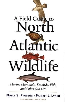 Noble S. Proctor, Patrick J. Lynch - A Field Guide to North Atlantic Wildlife: Marine Mammals, Seabirds, Fish, and Other Sea Life, Häftad