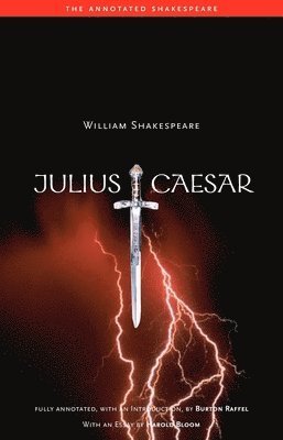 bokomslag Julius Caesar