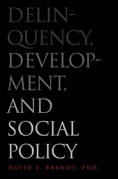 David E. Brandt - Delinquency, Development, and Social Policy, Inbunden
