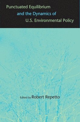 bokomslag Punctuated Equilibrium and the Dynamics of U.S. Environmental Policy