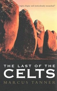 bokomslag The Last of the Celts