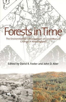 David R. Foster, John D. Aber, David R Foster, John D Aber - Forests in Time, Häftad