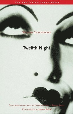 bokomslag Twelfth Night: Or, What You Will