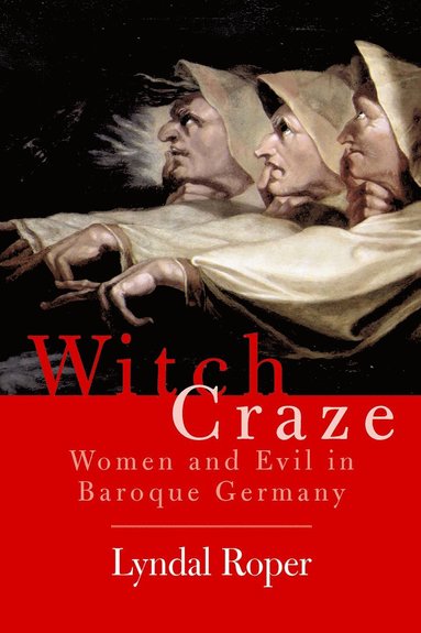 bokomslag Witch Craze