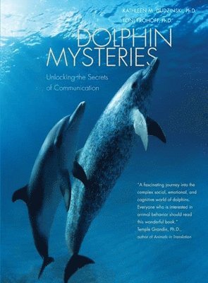 bokomslag Dolphin Mysteries: Unlocking the Secrets of Communication