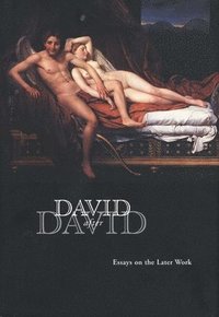 bokomslag David after David