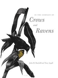 bokomslag In the Company of Crows and Ravens