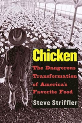 Steve Striffler - Chicken: The Dangerous Transformation of America's Favorite Food, Häftad