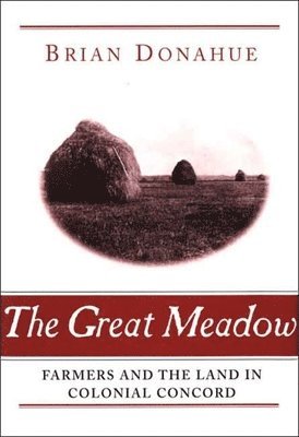 bokomslag The Great Meadow