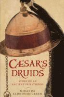 bokomslag Caesar's Druids
