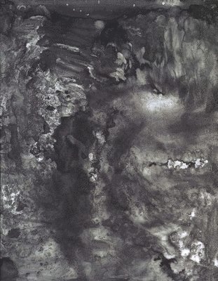 bokomslag Jasper Johns: Drawings