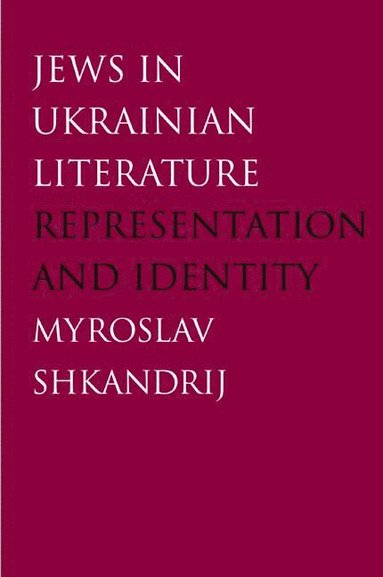 bokomslag Jews in Ukrainian Literature