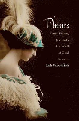 Plumes 1