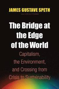 bokomslag The Bridge at the Edge of the World
