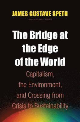 The Bridge at the Edge of the World 1