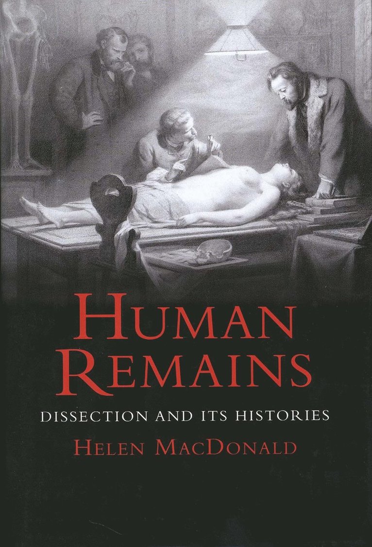 Human Remains 1