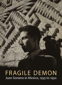 bokomslag Fragile Demon