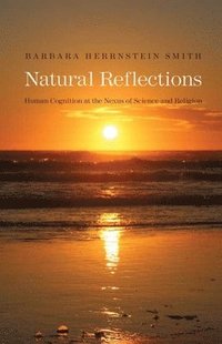 bokomslag Natural Reflections
