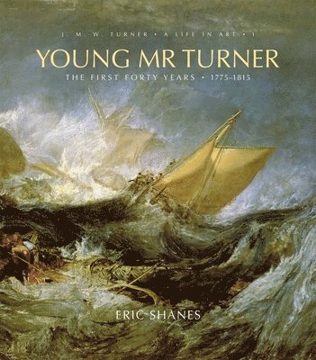 Young Mr. Turner 1