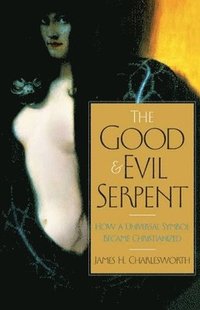 bokomslag The Good and Evil Serpent
