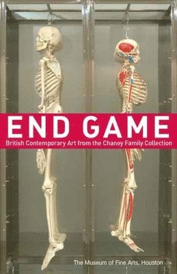 bokomslag End Game