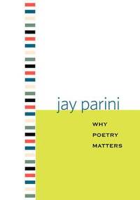 bokomslag Why Poetry Matters
