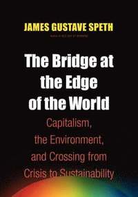 bokomslag The Bridge at the End of the World