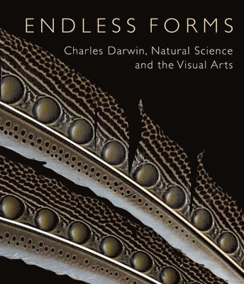 Endless Forms 1