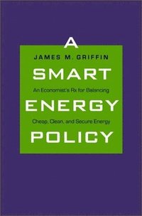 bokomslag A Smart Energy Policy