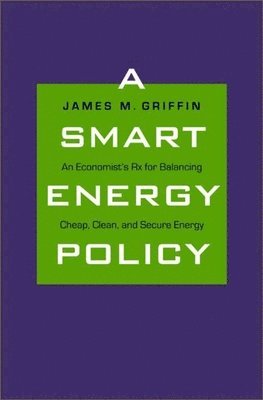 bokomslag A Smart Energy Policy