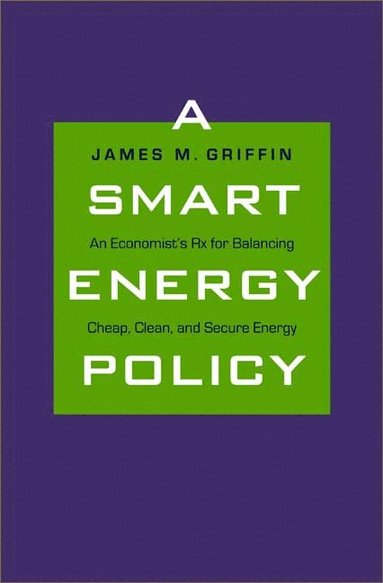 bokomslag Smart Energy Policy