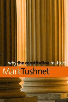 Why the Constitution Matters 1