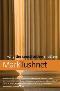 bokomslag Why the Constitution Matters