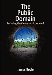 bokomslag Public Domain
