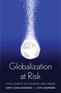 bokomslag Globalization at Risk