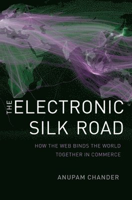 bokomslag The Electronic Silk Road: How the Web Binds the World Together in Commerce
