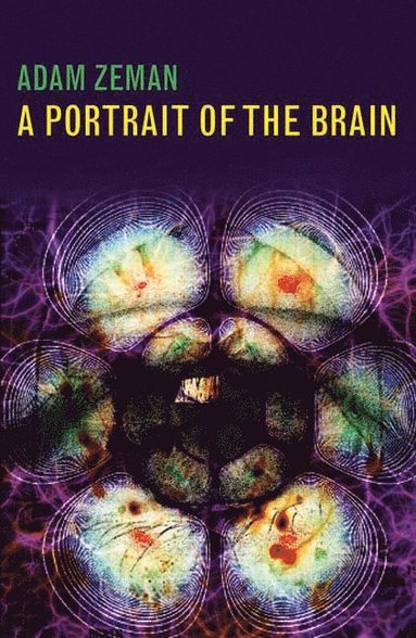 bokomslag Portrait of the Brain