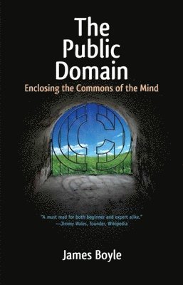 bokomslag The Public Domain: Enclosing the Commons of the Mind