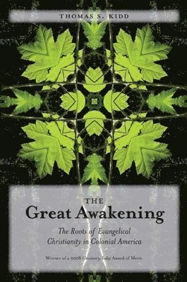 bokomslag The Great Awakening