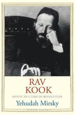 bokomslag Rav Kook: Mystic in a Time of Revolution