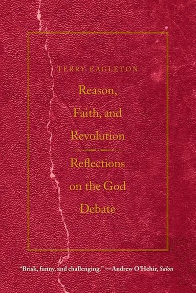 bokomslag Reason, Faith, and Revolution