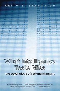 bokomslag What Intelligence Tests Miss