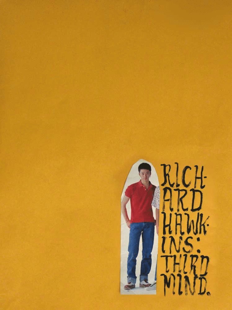 Lisa Dorin - Richard Hawkins, Inbunden